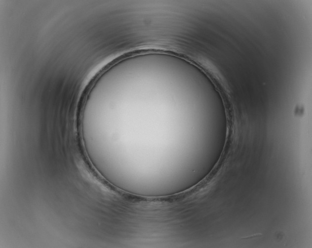 X0000112150884200908071000
