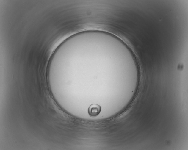 X0000112150885200908071000