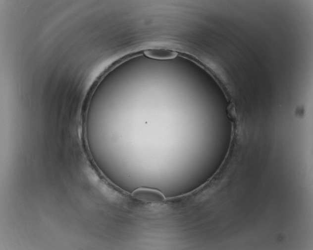 X0000112150888200908071000