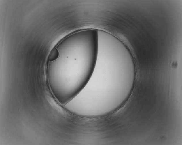 X0000112150892200908071000