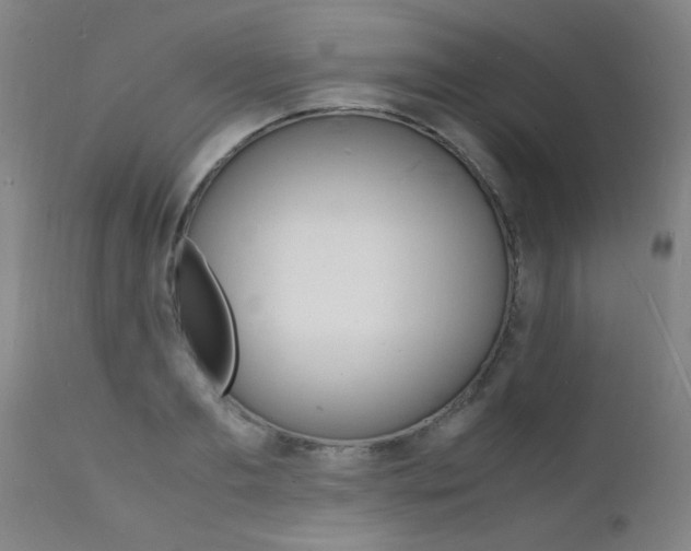 X0000112150893200908071000