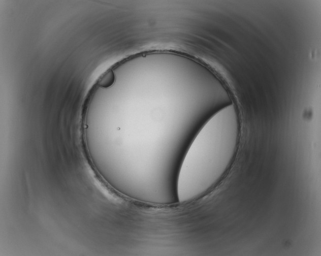 X0000112150894200908071000