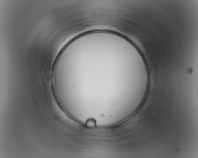 X0000112150895200908071000