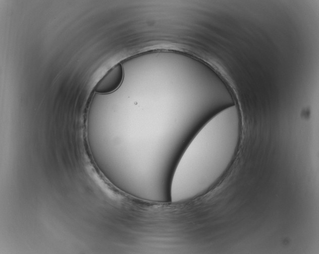 X0000112150898200908071000