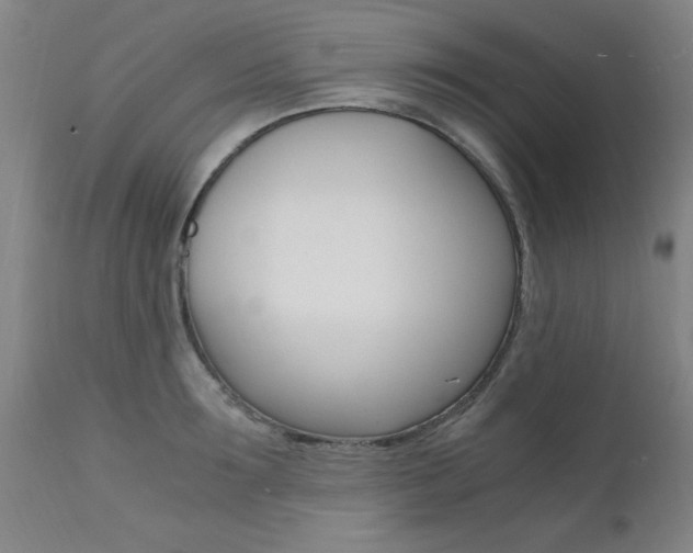 X0000112150899200908071000