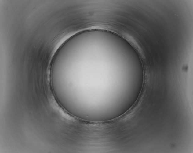 X0000112150900200908071000