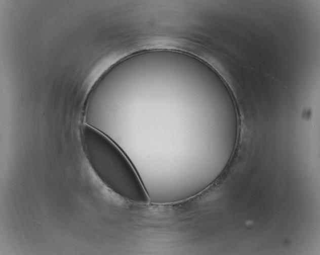 X0000112150901200908071000
