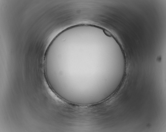 X0000112150903200908071000