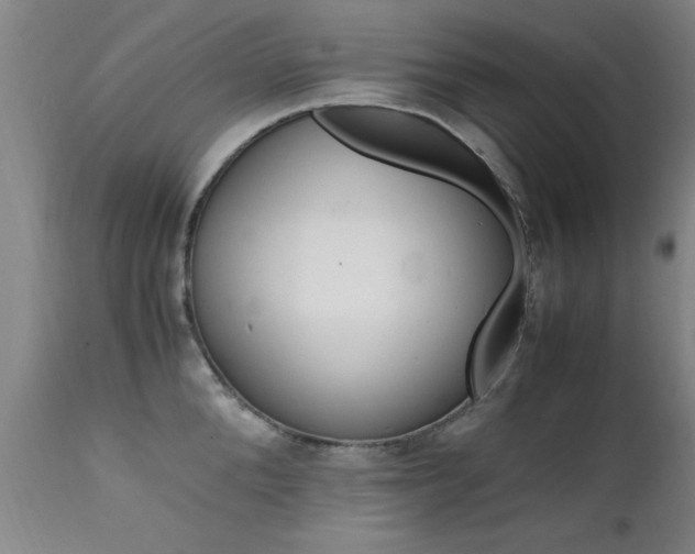 X0000112150904200908071000