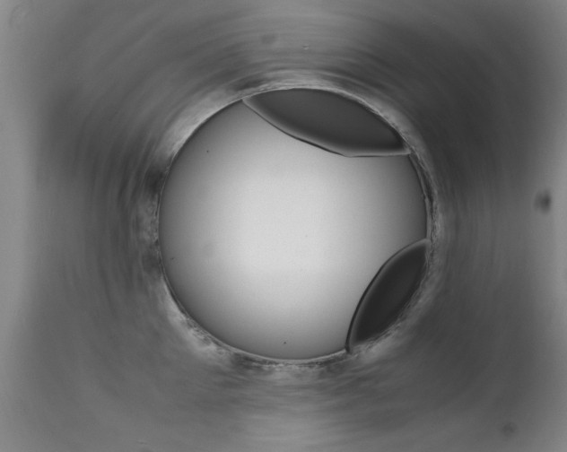 X0000112150905200908071000