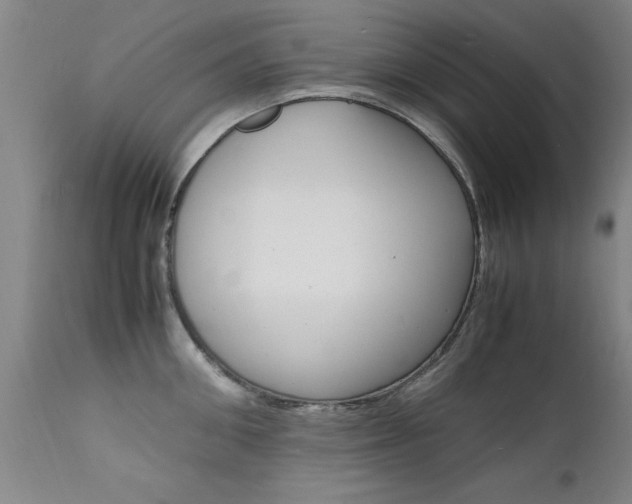 X0000112150906200908071000