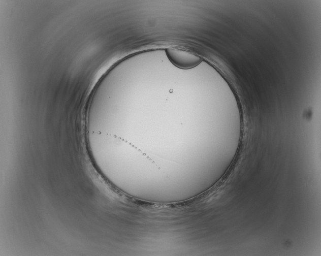 X0000112150907200908071000
