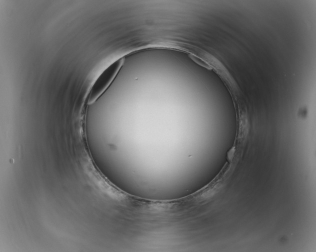 X0000112150908200908070959