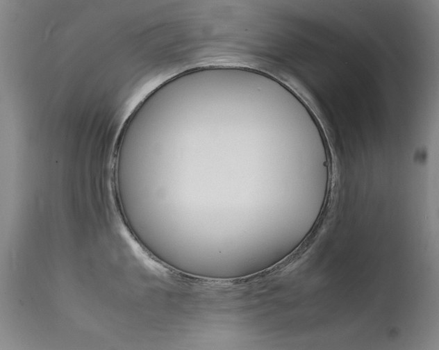 X0000112150909200908070959