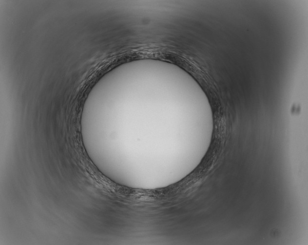 X0000112150913200908070959