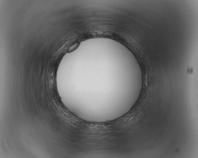 X0000112150915200908070959