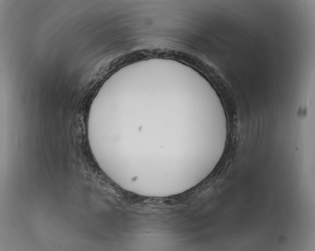 X0000112150918200908070959