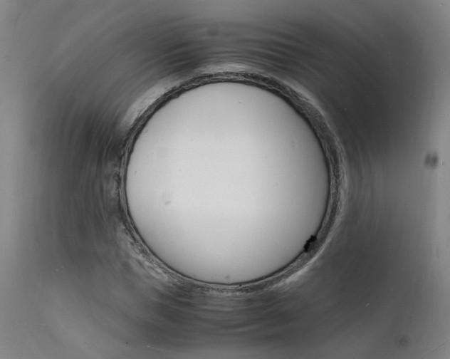 X0000112150921200908070959