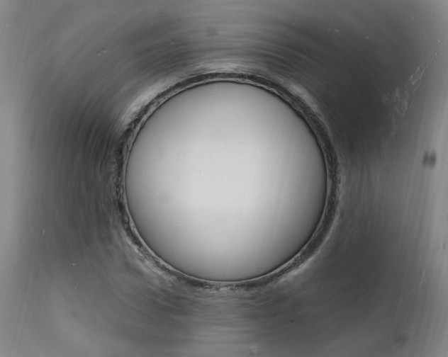 X0000112150922200908070959