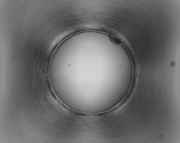 X0000112150930200908070959