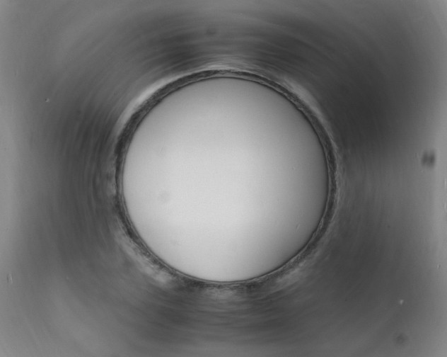X0000112150931200908070959