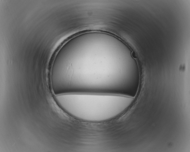 X0000112150932200908070959