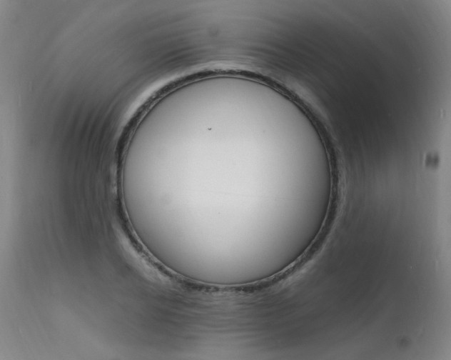 X0000112150934200908070959