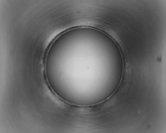 X0000112150936200908070959