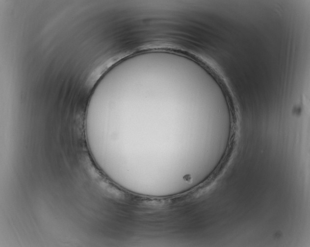 X0000112150937200908070959