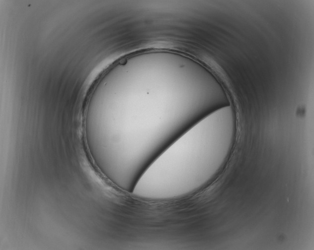 X0000112150939200908070959