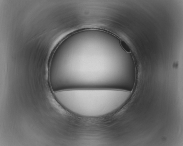 X0000112150940200908070959