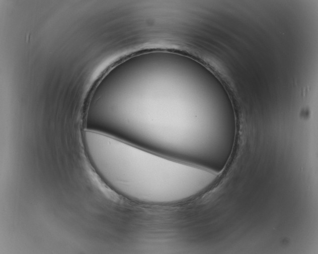 X0000112150942200908070959