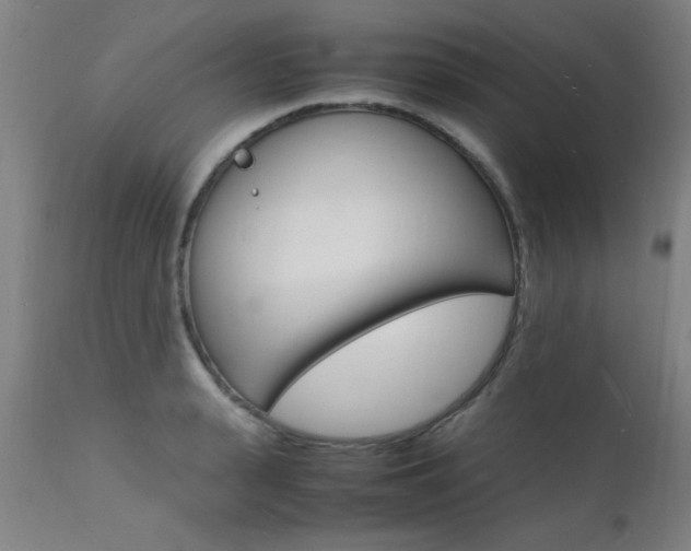 X0000112150943200908070959