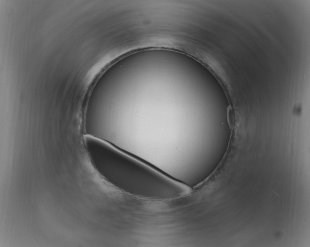 X0000112150944200908070959