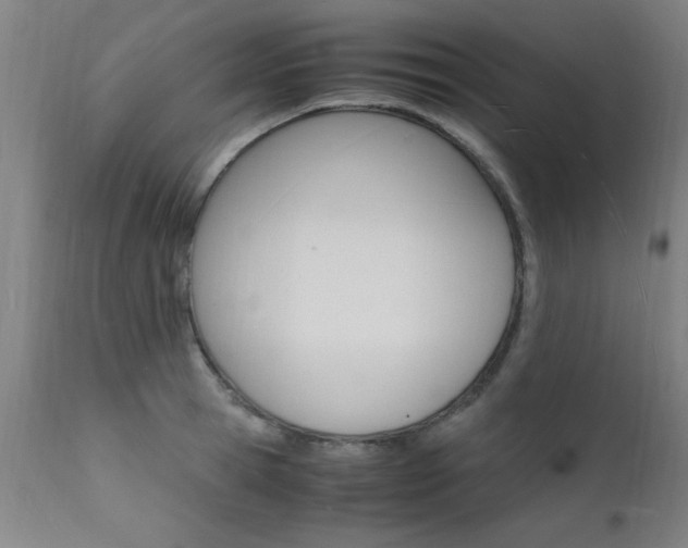 X0000112150945200908070959