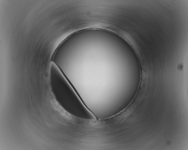 X0000112150948200908070959
