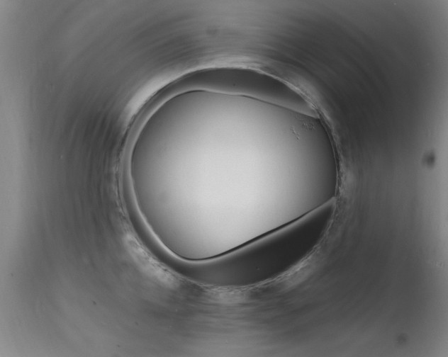 X0000112150952200908070959