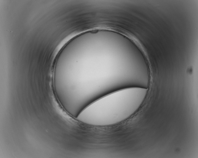 X0000112150955200908070959