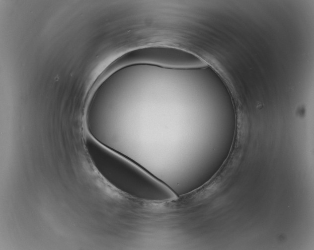 X0000112150956200908070959