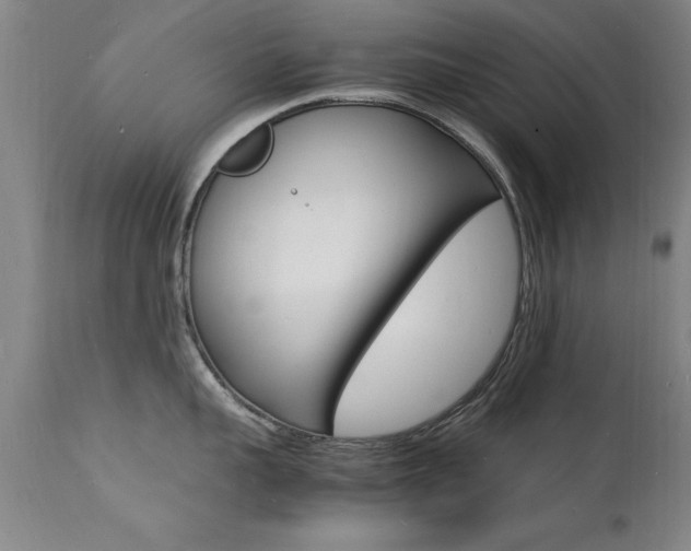 X0000112150959200908070959