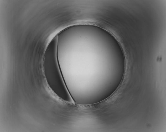 X0000112150960200908070959