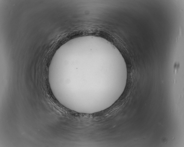 X0000112150961200908070959