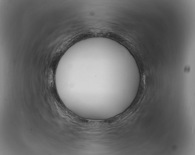 X0000112150963200908070959