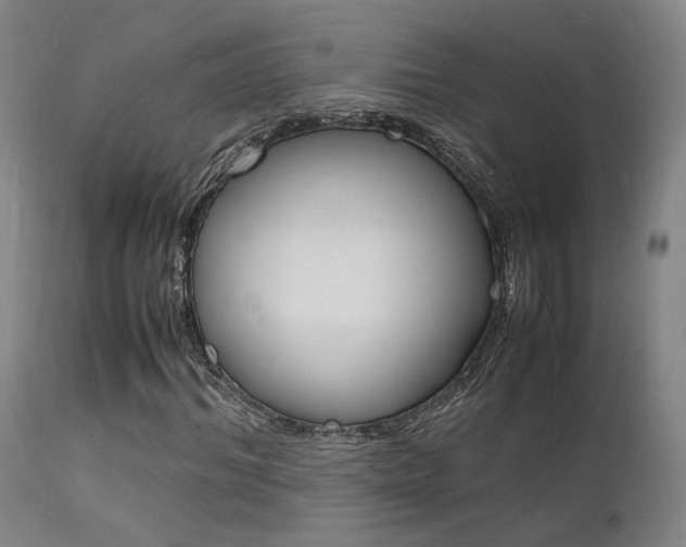 X0000112150964200908070959
