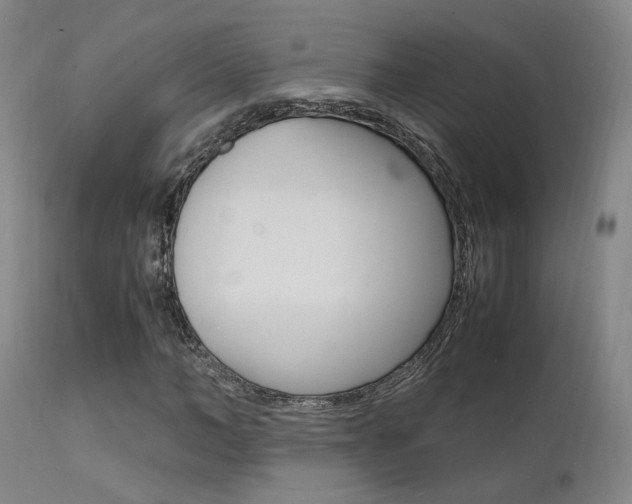 X0000112150966200908070959