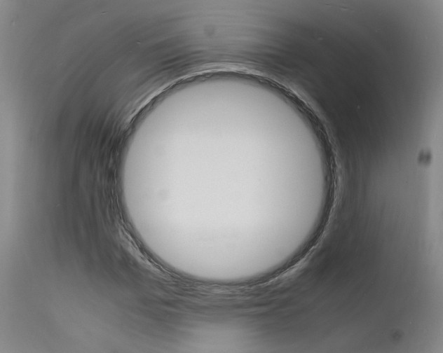 X0000112150969200908070959