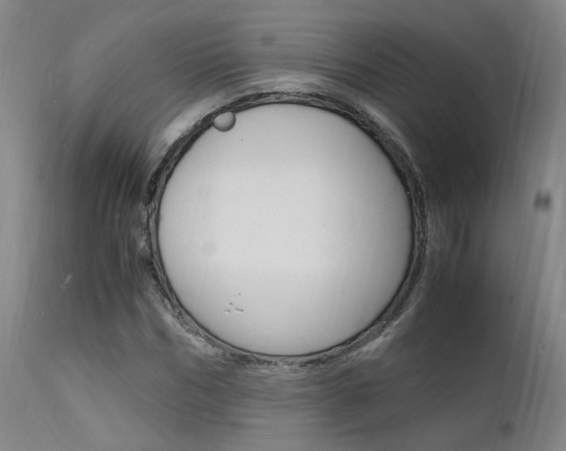 X0000112150970200908070959