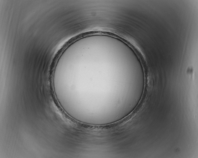 X0000112150972200908070959