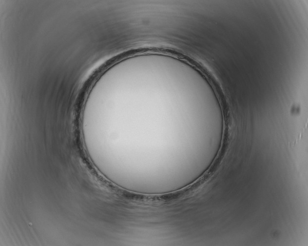 X0000112150975200908070959
