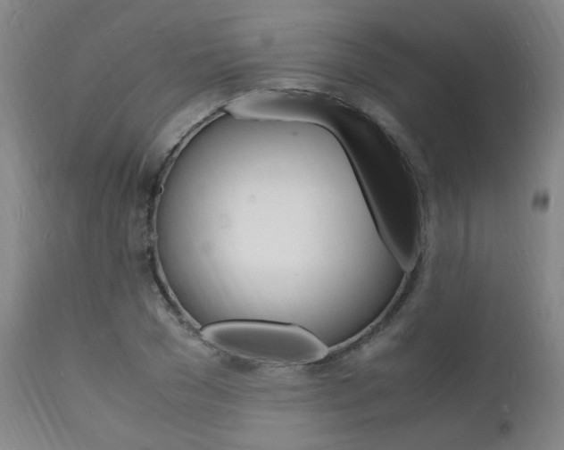 X0000112150977200908070959